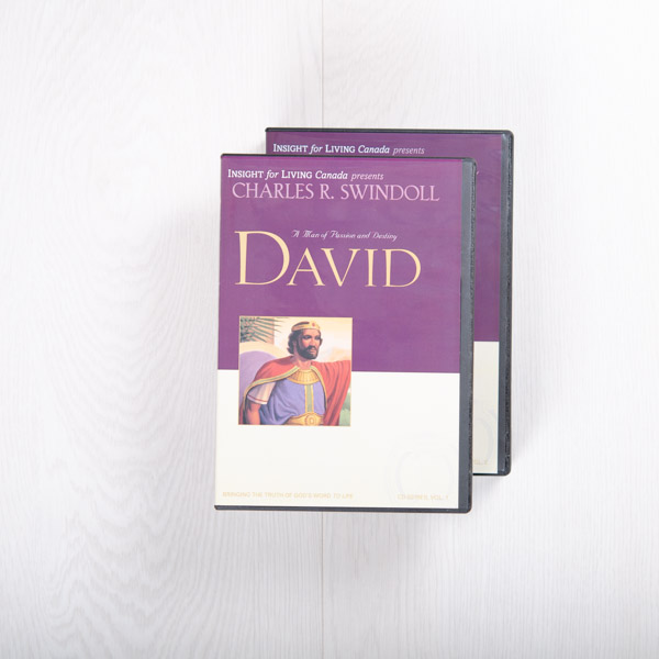 David: A Man of Passion and Destiny, message series