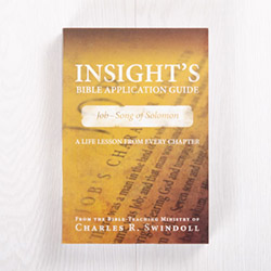 Insight’s Bible Application Guide: Job-Song of Solomon—A Life Lesson from Every Chapter