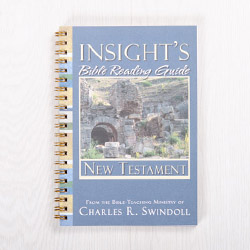 Insight's Bible Reading Guide: New Testament, paperback devotional by Insight for Living
