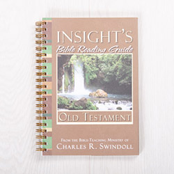 Insight's Bible Reading Guide: Old Testament, paperback devotional by Insight for Living