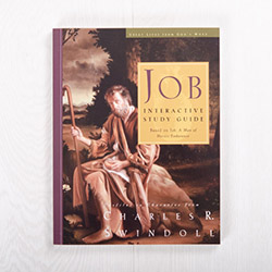 Job: A Man of Heroic Endurance, workbook