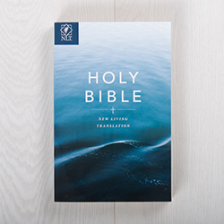 New Living Translation Bible