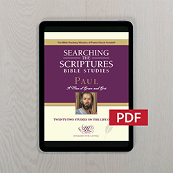 PAUSTSPDF