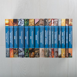 New Testament Commentaries