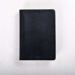 The Swindoll Study Bible NLT, LeatherLike Black