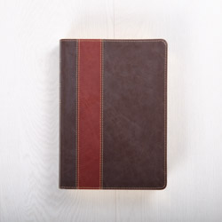 The Swindoll Study Bible NLT, LeatherLike Brown/Tan TuTone