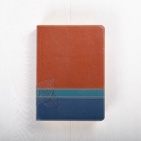 The Swindoll Study Bible NLT, LeatherLike, Indexed, Brown/Teal TuTone