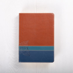 The Swindoll Study Bible NLT, LeatherLike, Indexed, Brown/Teal TuTone
