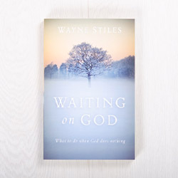 Waiting on God: What to do when God does nothing, paperback by Wayne Stiles